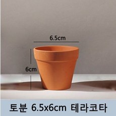토분 화분 미니토분 다육이[지름6.5cmX높이6cm] 수입도매