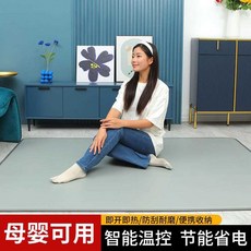 石墨烯暖腳墊 110V 碳晶取暖墊 辦公室宿舍適用, 經典藍鷗, 經典藍鷗