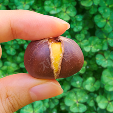 [3초밤까기] A++등급 매년인기완판 꿀샘폭발 약단밤, 1박스, 500g