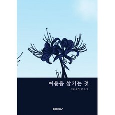 여름을 삼키는 것, BOOKK(부크크), 지은조 저