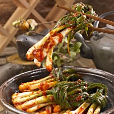 35년명인 비법양념 전라도 여수 파김치, 1박스, 3kg