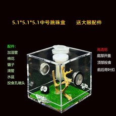 투명 파충류 사육장 거미 사마귀 아크릴 애완 곤충 번식 생태 상자 관찰, 5.2cm 조경 상자 (큰 눈 장식)