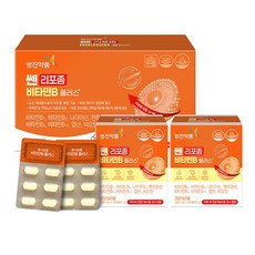 영진약품 쎈 리포좀 비타민B 플러스, 1박스, 120정