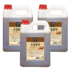 청정원 조청쌀엿 5kg 3개