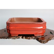 【小樹安每】中國盆缽-宜興珊瑚釉桐鈕長方鉢 16cm, 1個