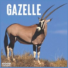 Gazelle 2021 Calendar: Official Swift Animals Wall Calendar 2021 18 Months Paperback, Independently Published