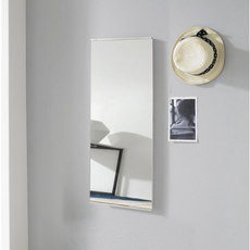 鋁製超薄壁鏡 300*600mm, 銀