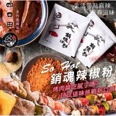 烤肉必備 知名烤肉店專用 快速寄出 嘉義名產烤肉粉, 1個, 四口田五包一組,包