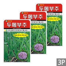 세인화분 두메부추 100립 - 국산 산부추 부추 씨 씨앗, 3개