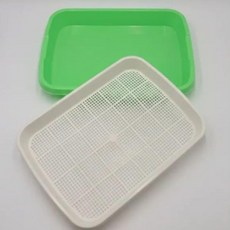 베란다 텃밭 수경 재배기 새싹 보리 밀싹 키우기 화분 트레이, 1개