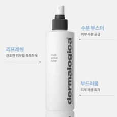 더말로지카 멀티 액티브 토너 250ml 미스트형 진정 토너, 1개