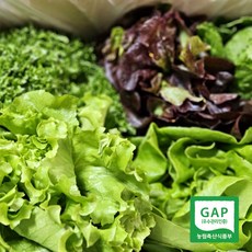[농협] GAP인증 유러피안 샐러드 쌈채소, 1개, 1kg
