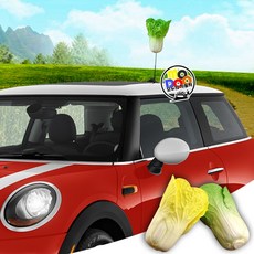 [배추]차량용 채소 안테나볼 레이 모닝 스파크 미니쿠퍼 클럽맨 컨트리맨 R시리즈 F시리즈 전차종호환 숏안테나 롱안테나 장식 자동차 악세사리 용품, 노란배추