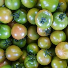 귤마을 대저토마토 소과 2.5kg (S), 1박스