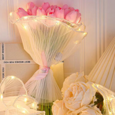 HORTIQUE 꽃포장지 메쉬원단 진주라인 꽃다발포장 레이스, 1개, LED진주라인