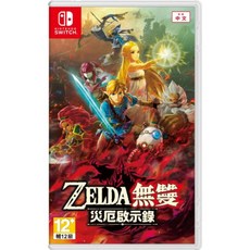 Nintendo Switch 薩爾達無雙 災厄啟示錄 中文版, 薩爾達