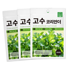 ) 고수씨앗 350립 3봉세트