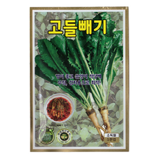 식물의집 고들빼기 씨앗 고들빼기 씨 민속채소씨앗 씨, 1개