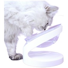 ECOPET with 寵物用透明碗