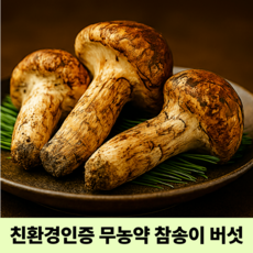 무농약 친환경인증 못난이 국산배지 참송이버섯, 1박스, 500g(못난이)