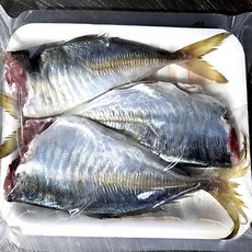 손질 전갱이 구이+조림용, 1개, 손질전갱이500g2-3마리