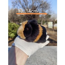 인형 기니피그 귀여운 선물 봉제 장난감 동물, 1개, 2_14cm 소형 올리브 블랙, 14cm