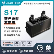 YOULISN S17 尊爵款藍牙K歌音響 60W大功率 隱藏式雙麥克風
