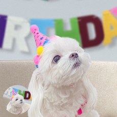 [사마누] 애견고깔모자 펫 생일파티 고깔모자 EVA