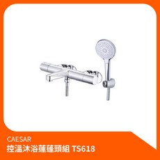 凱撒CAESAR控溫沐浴蓮蓬頭組TS618，淋浴龍頭花灑組，恆溫舒適安全耐用，簡約時尚, 1個