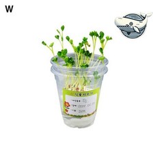 홈가드닝 식물 재배 실내 원예 용품+글로벌커머스랩Shop, 빠른배송