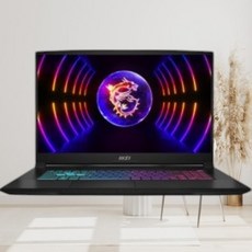 MSI 2023 스워드 GF76 17.3, 블랙, 2560GB, 16GB, Free DOS, MS-17L