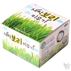 온비랩 식물키우기 식목일행사키트 새싹 키우기 키트