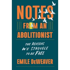 (영문도서) Notes from an Abolitionist: The Reasons We Struggle to Be Free Hardcover, New Press, English, 9781620977880