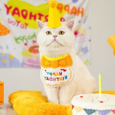반려동물 생일파티 고깔모자 케이프 턱받이 세트 돌잔치 기념일 촬영 파티용품 장식, 주황색, 1개