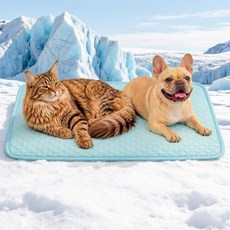 여름 냉감 패드 애견 쿨링방석 개와 고양이 위 반려동물 쿨링 매트 실내 실외 카시트 세탁 가능 반려견 휴대용 쿨 담요, Small, Blue