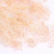 화연양화 표백 안개꽃 10색 한다발 프리저브드플라워, 02 블러쉬