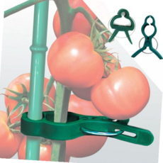 고추모종집게 작물줄기집게, 제비, 대형(20개입)