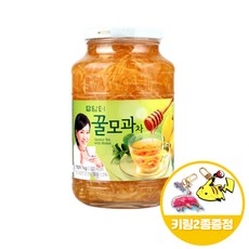 담터 꿀모과차 1kgx1병+키링2종, 1kg, 1개입, 1개