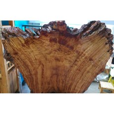 老件牛樟木瘤屏風，滿瘤花鳳尾瘤花，重香重油, 1個