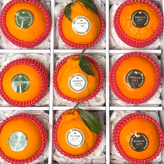 세트 과일 선물세트 혼합1호, 1박스