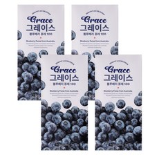 메이준뉴트리 그레이스 블루베리 퓨레 100, 4개, 280g