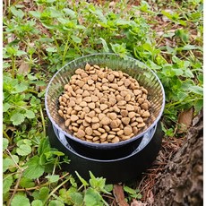 길고양이 개미방지밥그릇, 1개, 투명