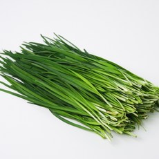 최고급특수품종 끝판왕 명품 부추, 300g, 1박스