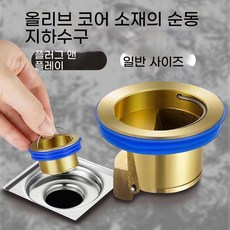 jtwr-574욕실 바닥 배수구 코어 역류 방지 밸브 하수구 전용 올브라스 범용 악취 차단 필터망 밀폐 커버, 2개