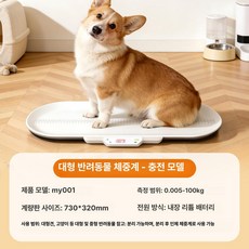 대형견 체중계 반려견 동물 측정기 몸무게 애완 강아지, 1개, 1. 대형 업그레이드 [100kg] 분리형, 기본 모델명/품번