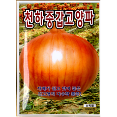 KS종묘 천하중갑고양파 종자 재배 쉬운 중만생종 양파씨앗 다수확 고형 품종 1500립 KS, 1개