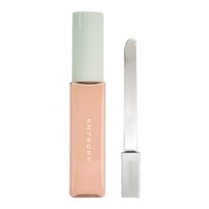 엔트로피 오간자 핏 스파츌라 파운데이션 (4 Colors), 1개, 21.1호