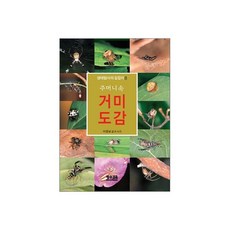 주머니 속 거미 도감