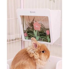 토끼 건초통 사료통 기니피그 실내용 급식기, 1개, 1. 토끼 건초 급식기 화이트