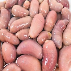 낚시용 미끼 개불 생물, 1개, 1ml